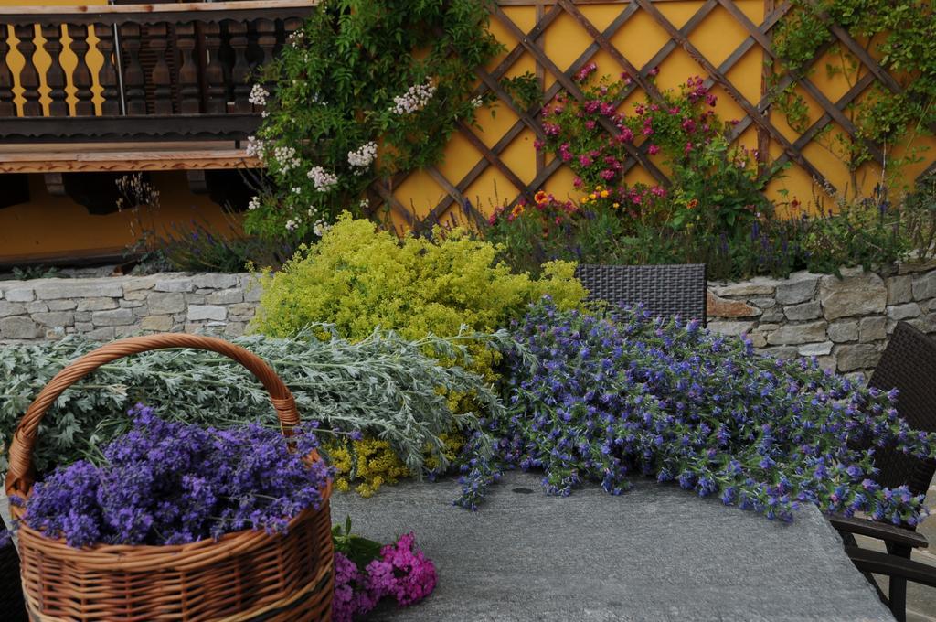 Sulamith Ferienhaus mit Garten Sankt Kathrein am Offenegg Exterior foto