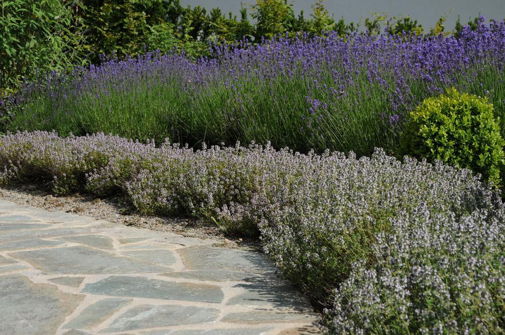 Sulamith Ferienhaus mit Garten Sankt Kathrein am Offenegg Exterior foto